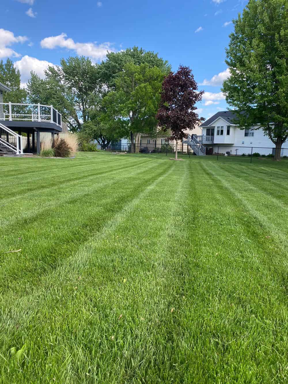 Lawn Care image