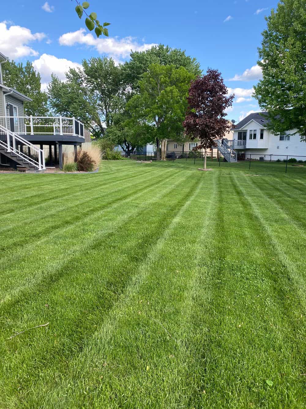 Hero image for  Cutting Edge Lawn and Landscape LLC