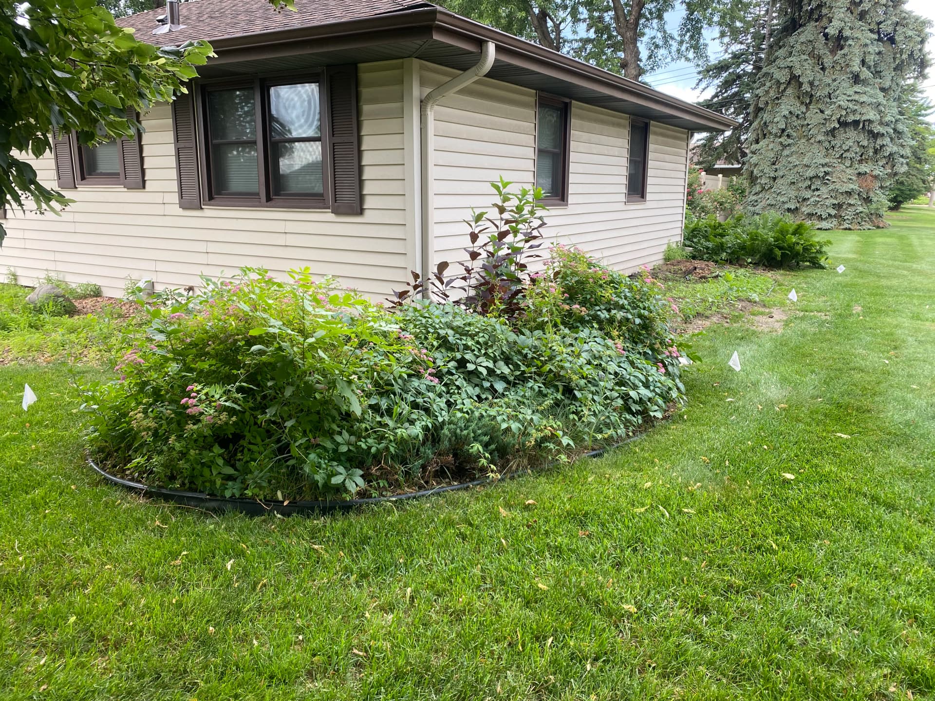 Gallery photos for Full Landscape Overhaul Turns a Weedy Mess Into Clean Curb Appeal: Image #2