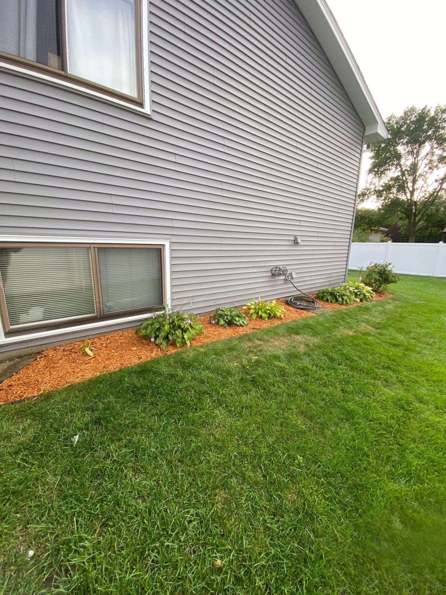 Backyard Refresh and Cleanup