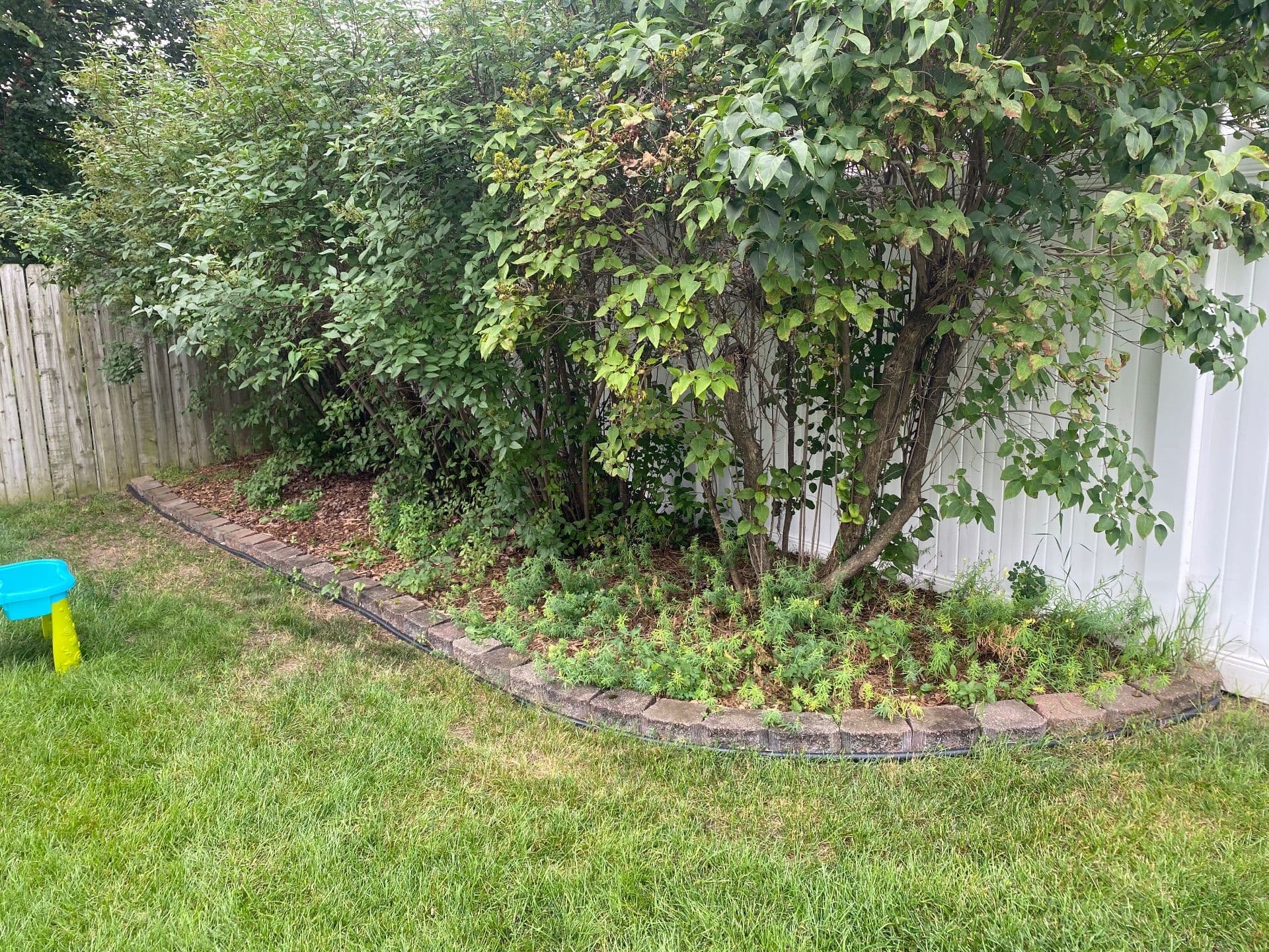 Backyard Refresh and Cleanup