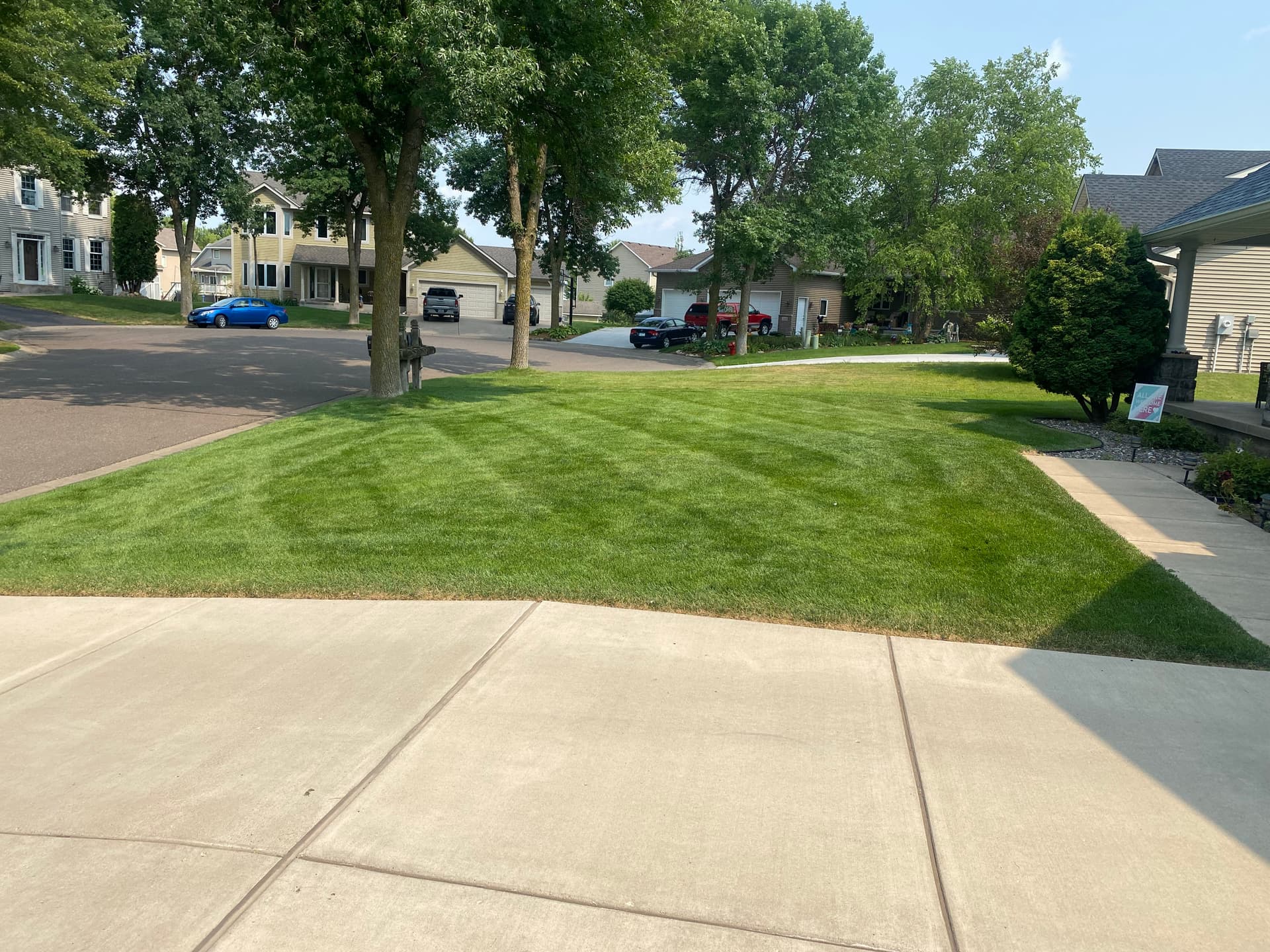 Gallery photos for How Consistent Lawn Care Keeps Grass Green Through Summer Heat: Image #1