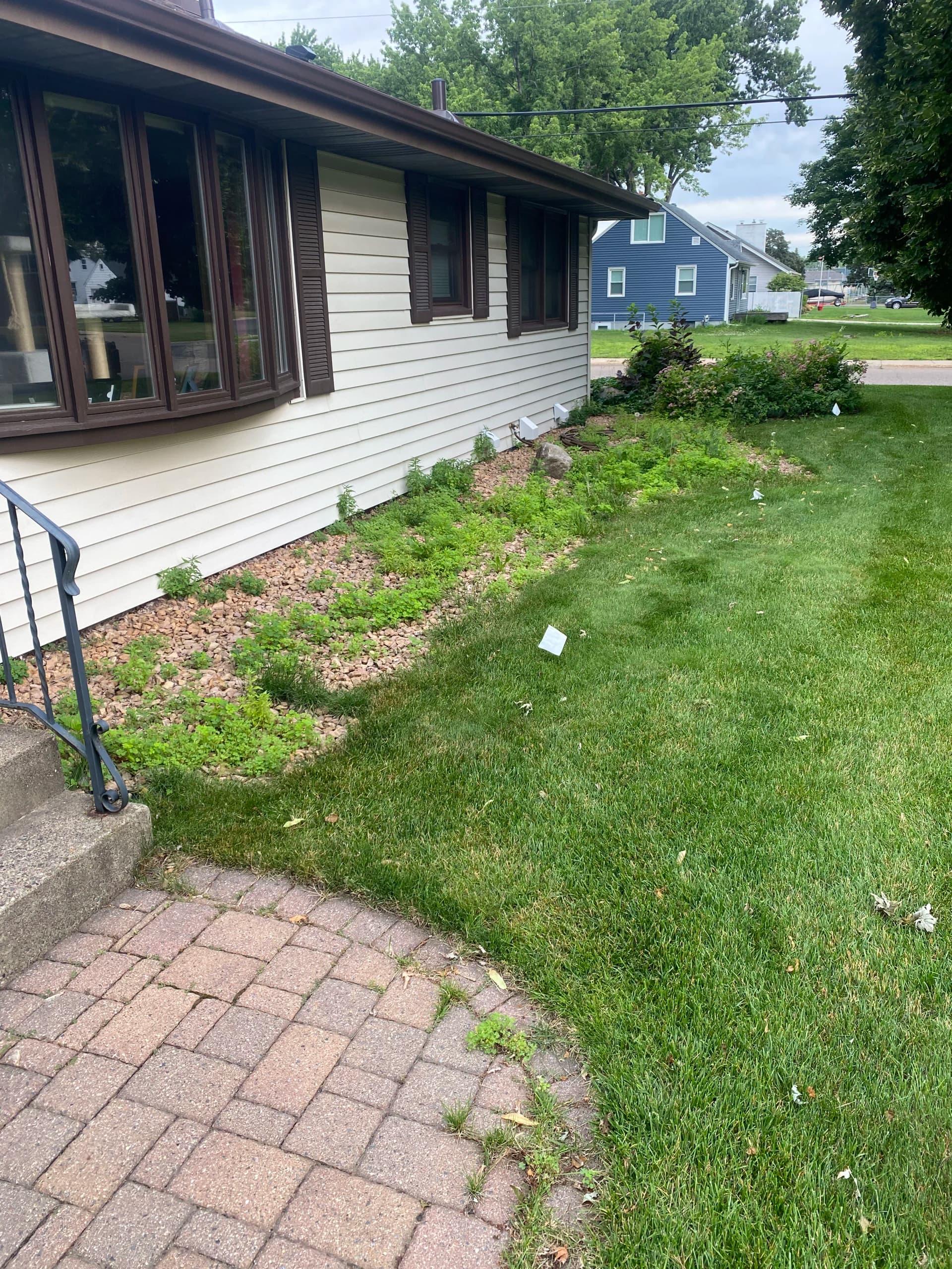 Gallery photos for Full Landscape Overhaul Turns a Weedy Mess Into Clean Curb Appeal: Image #1