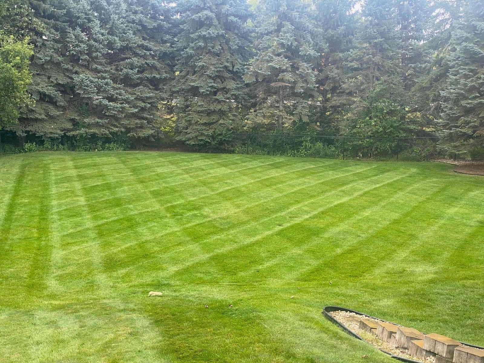 Lush Lawn Enhancement with Aeration Services