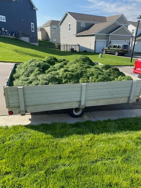 Freshly Manicured Sod for a Pristine Lawn