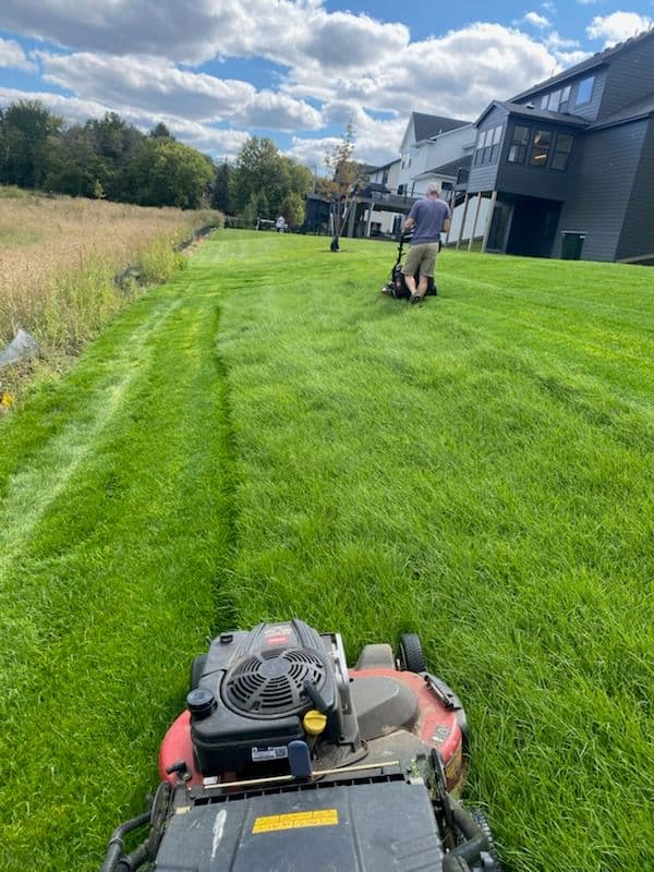 Freshly Manicured Sod for a Pristine Lawn