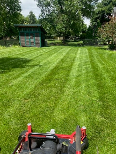 Gallery photos for Transform Your Lawn with Expert Care: Image #1