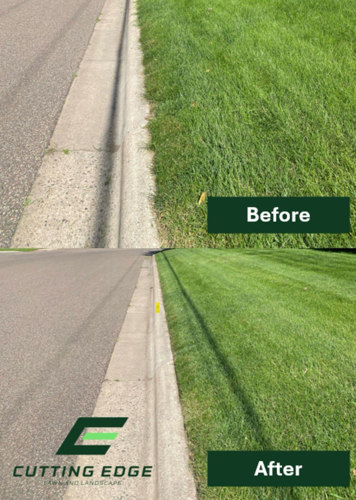 Gallery photos for Transform Your Lawn with Expert Care: Image #2