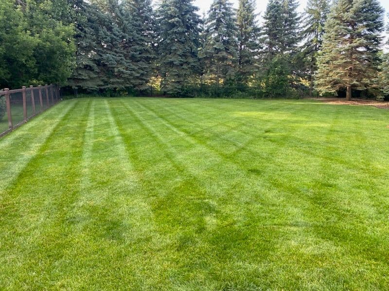 Gallery photos for Lush Lawn Care Expertise in Maple Grove: Image #1