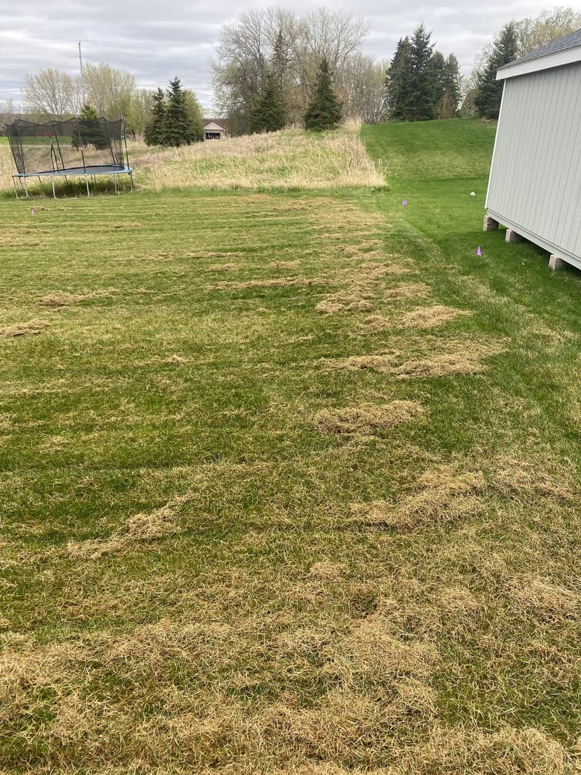 Eco-Friendly Landscaping Solutions's image
