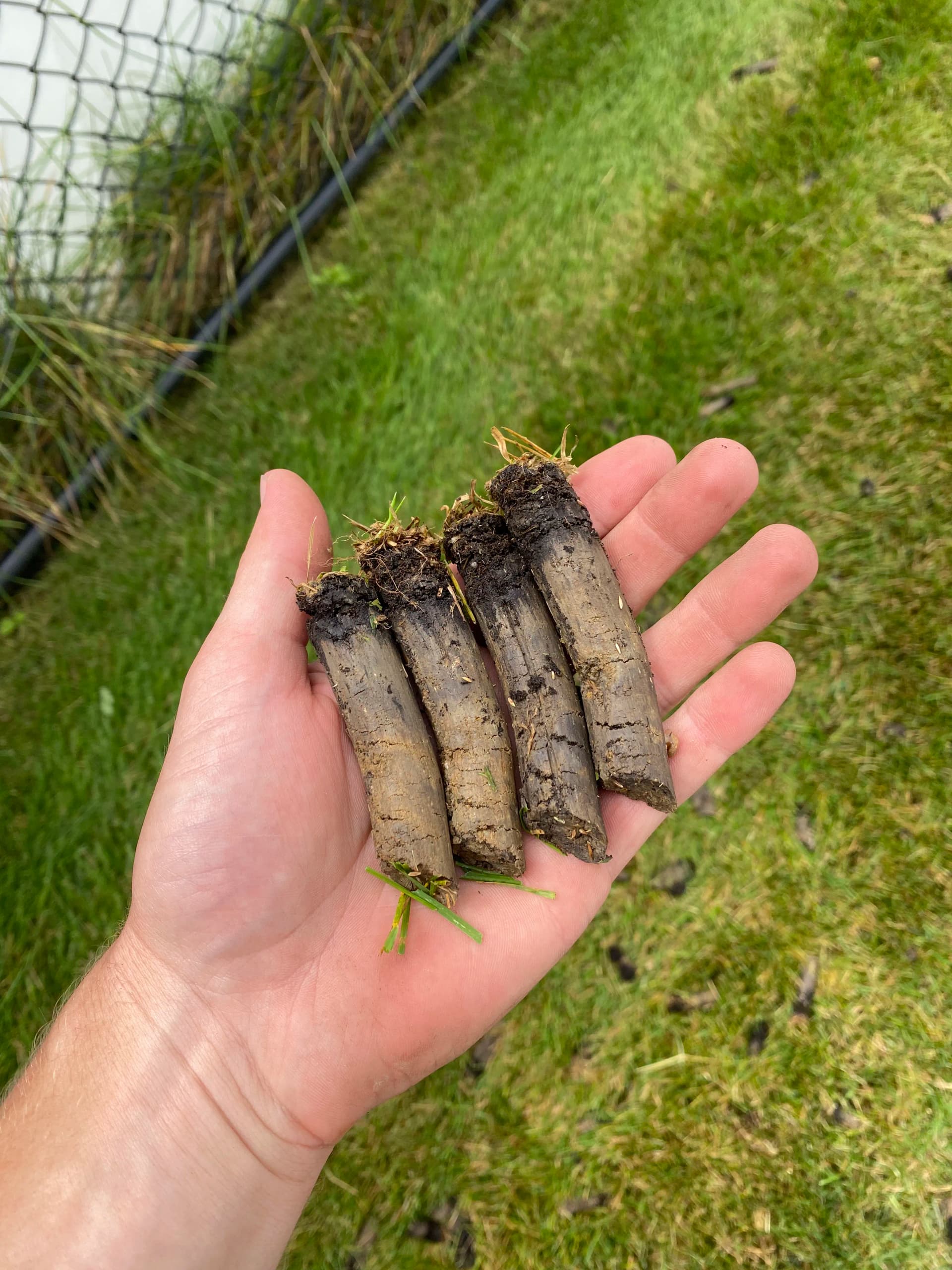 Why Fall Aeration is a Big Deal for Minnesota Lawns image