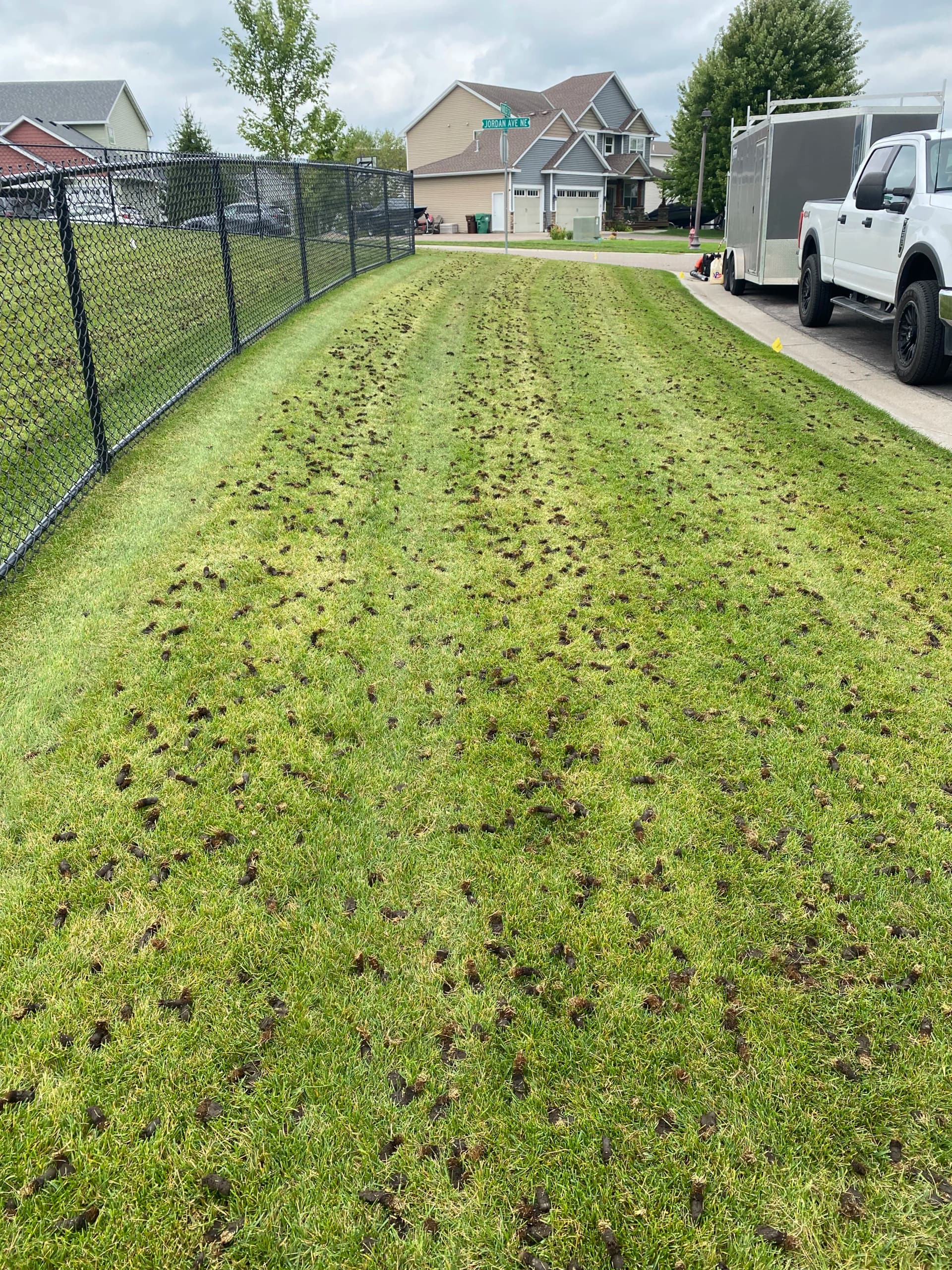 Gallery photos for Why Fall Aeration is a Big Deal for Minnesota Lawns: Image #2