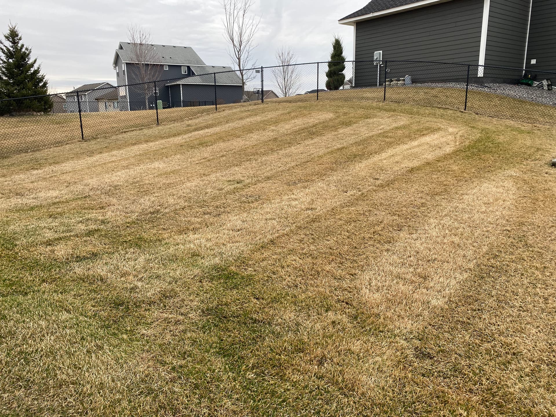 Gallery photos for Spring Dethatching Spots Are Still Open: Image #2