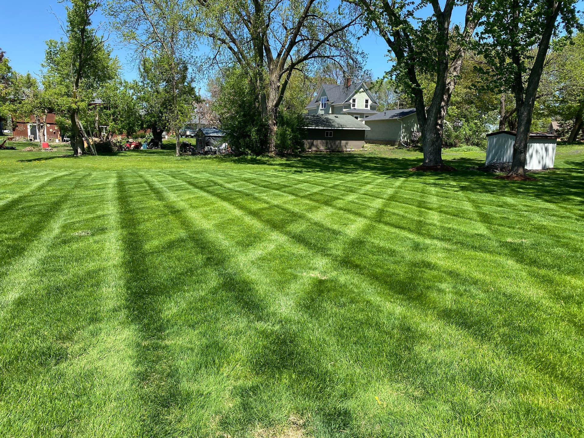 Green, Striped, and Sharp Across Town image