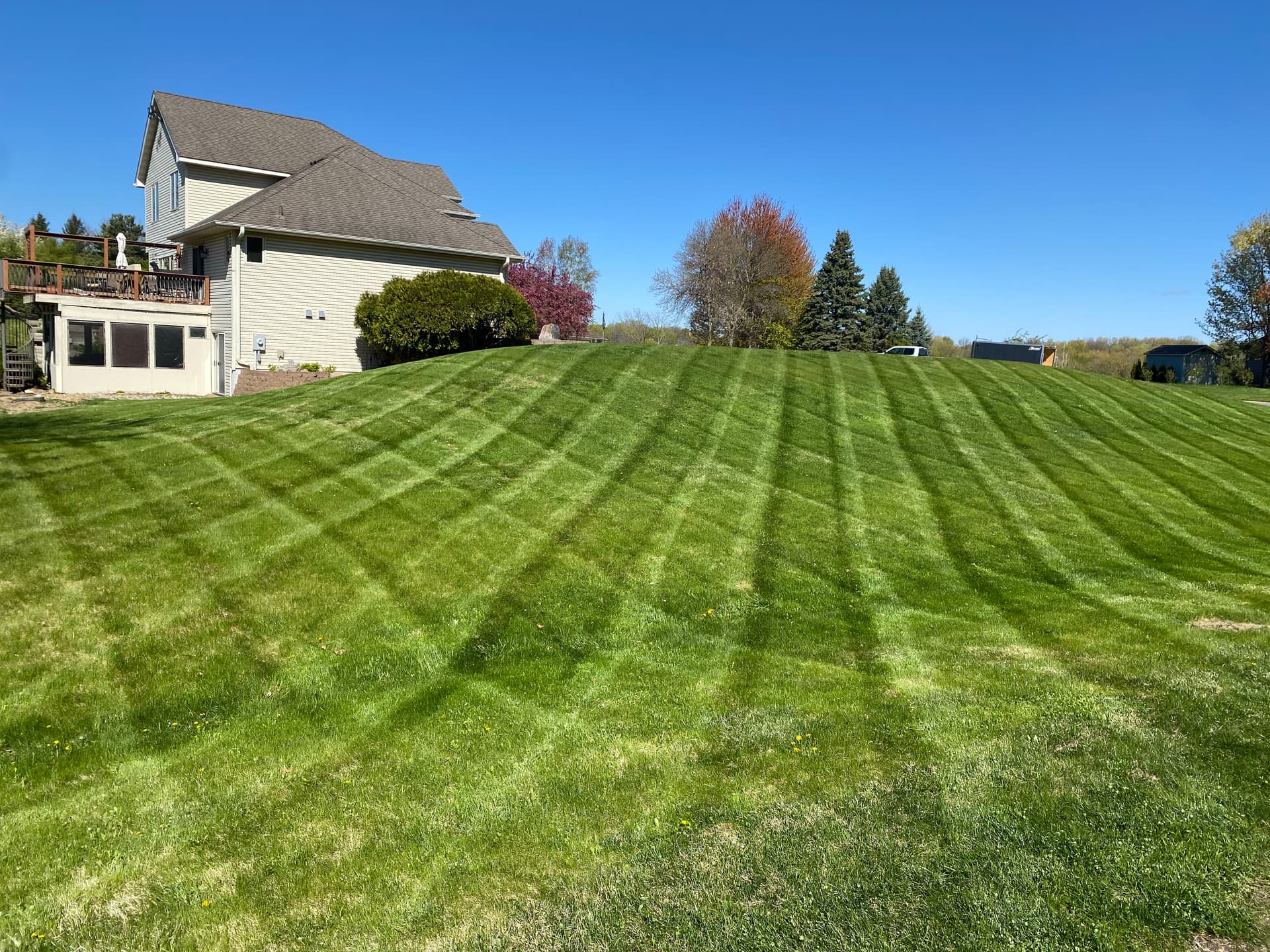 Gallery photos for Green, Striped, and Sharp Across Town: Image #2