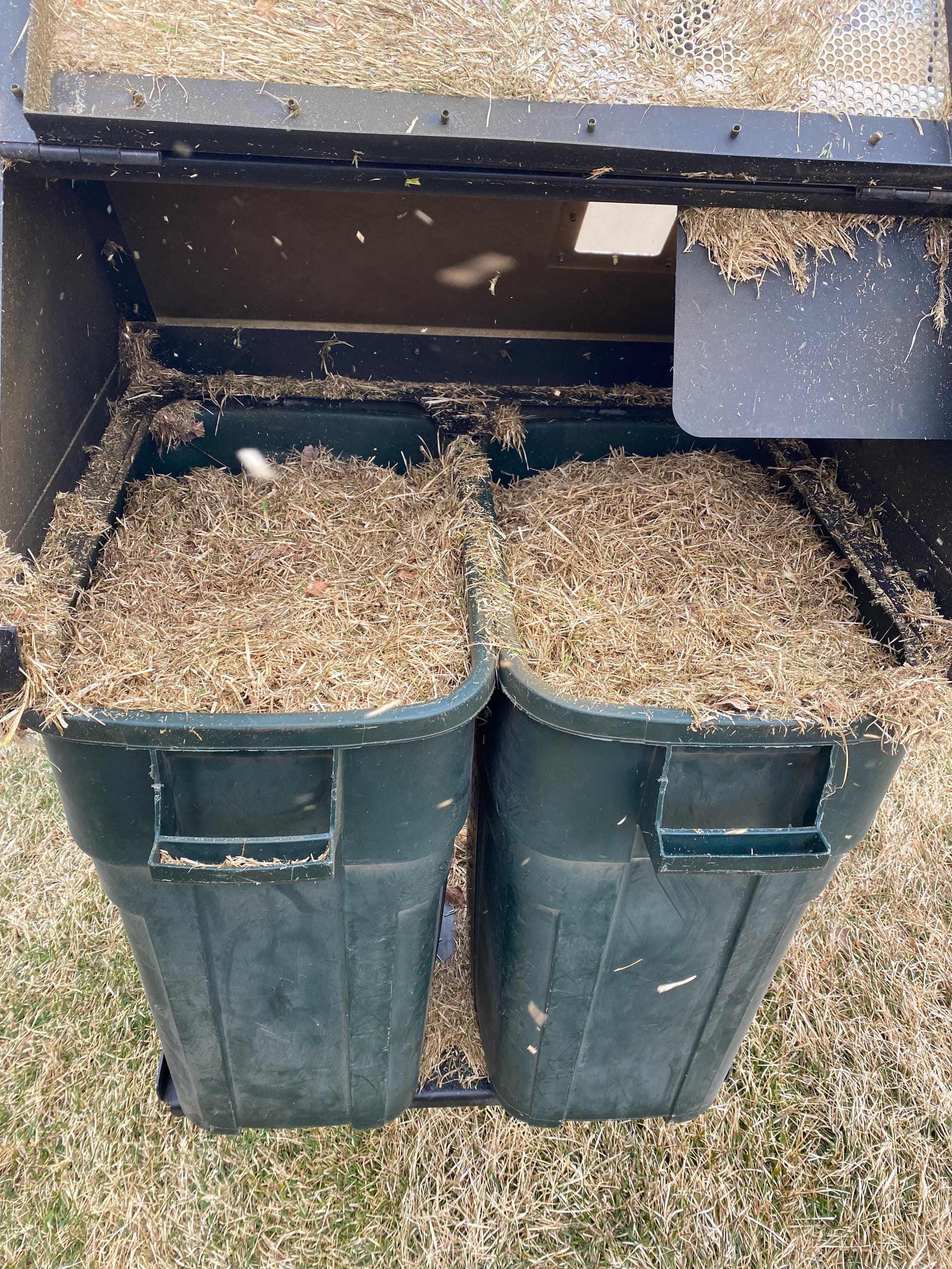 Gallery photos for Spring Dethatching Spots Are Still Open: Image #1