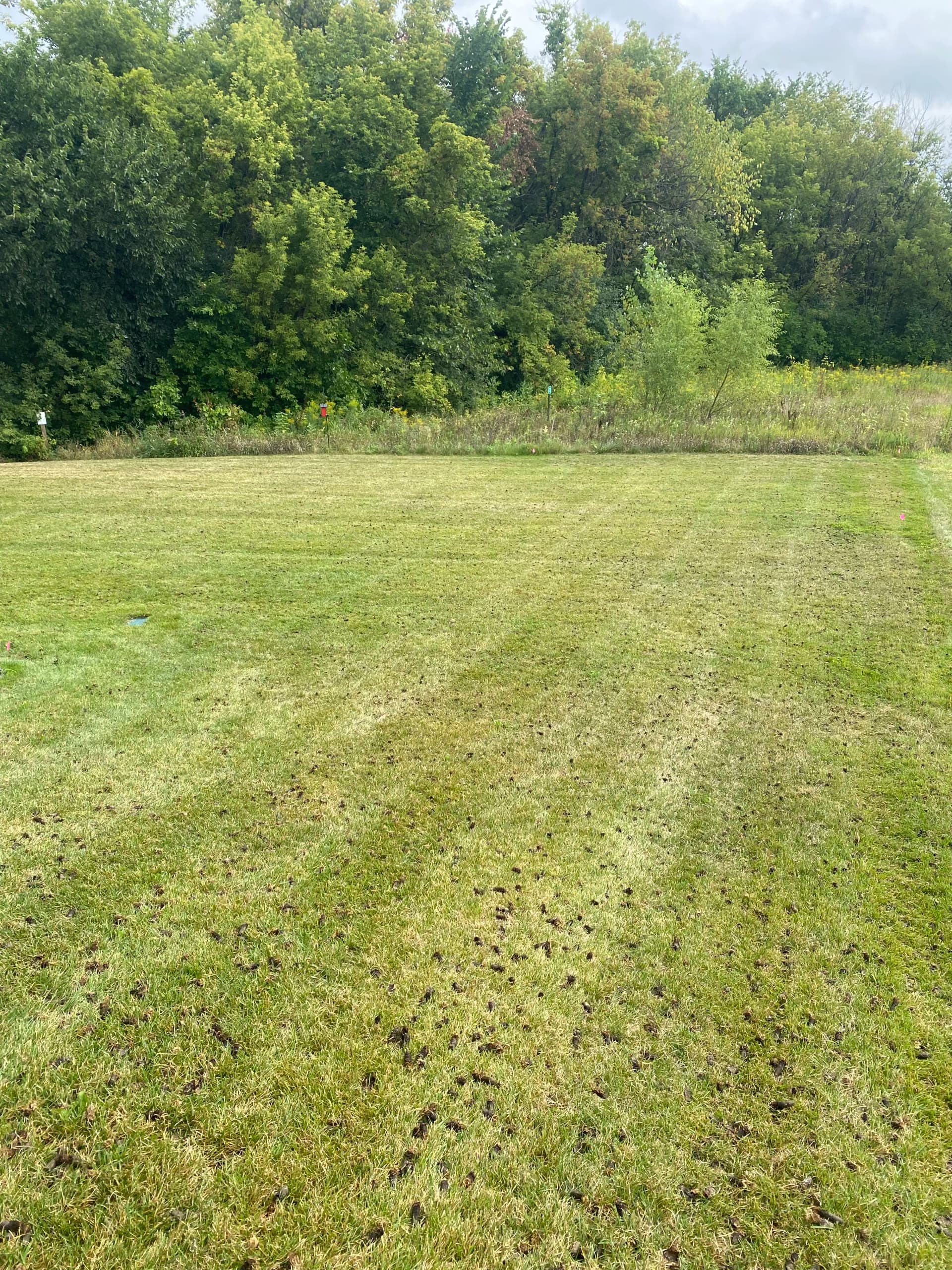 Gallery photos for Why Fall Aeration is a Big Deal for Minnesota Lawns: Image #3