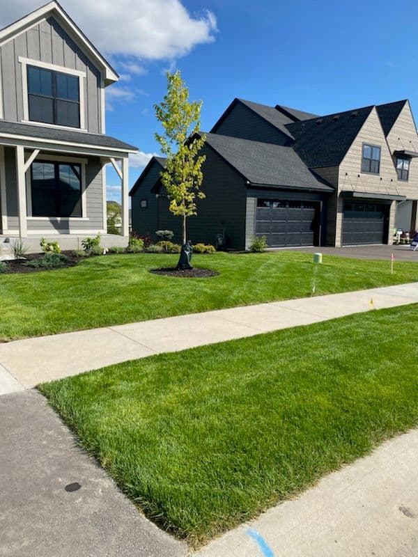 Gallery photos for Freshly Manicured Sod for a Pristine Lawn: Image #2